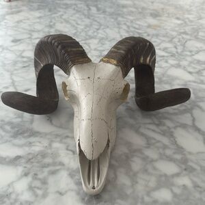 Decorative Rams Skull Statue Hanging Wall Decor New